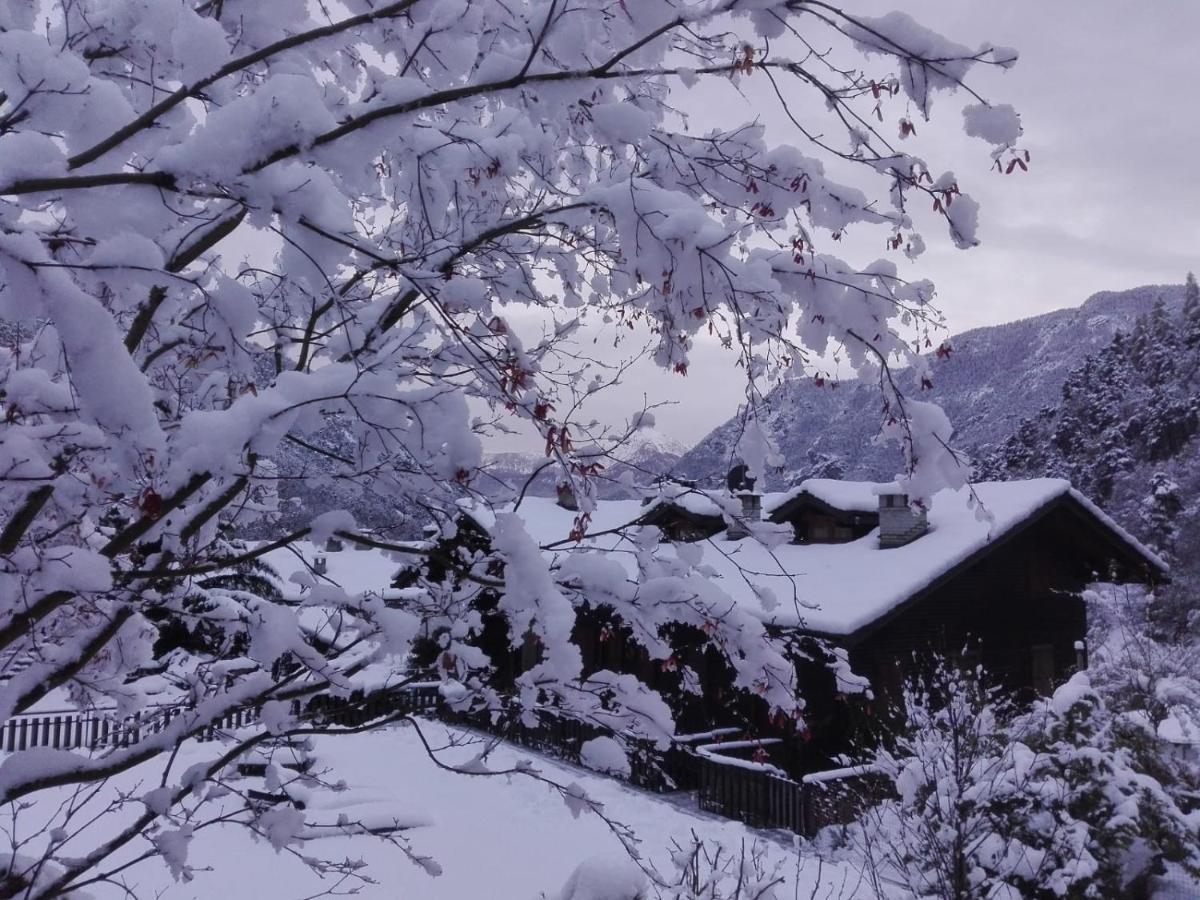 Maison Du Tata Antey-Saint-André エクステリア 写真